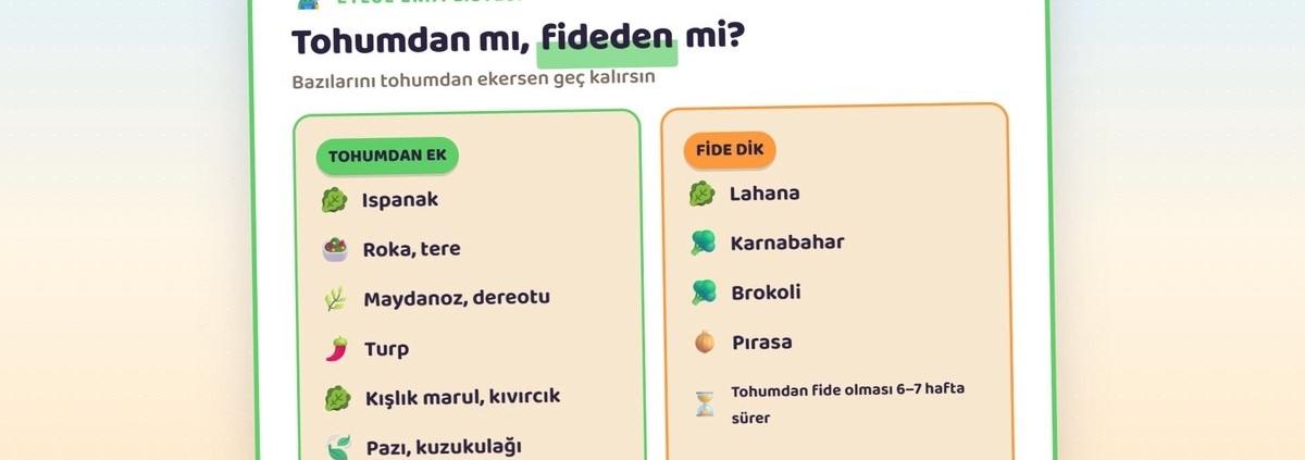 Eylül Ayında Ne Ekilir, Ne Dikilir? Kaçıran 1 Yıl Bekler! Kışlık Sebze Ekim Takvimi (Bölge Bölge) 3 Eylülde tohumdan ekilen ve fide olarak dikilen sebzeler listesi