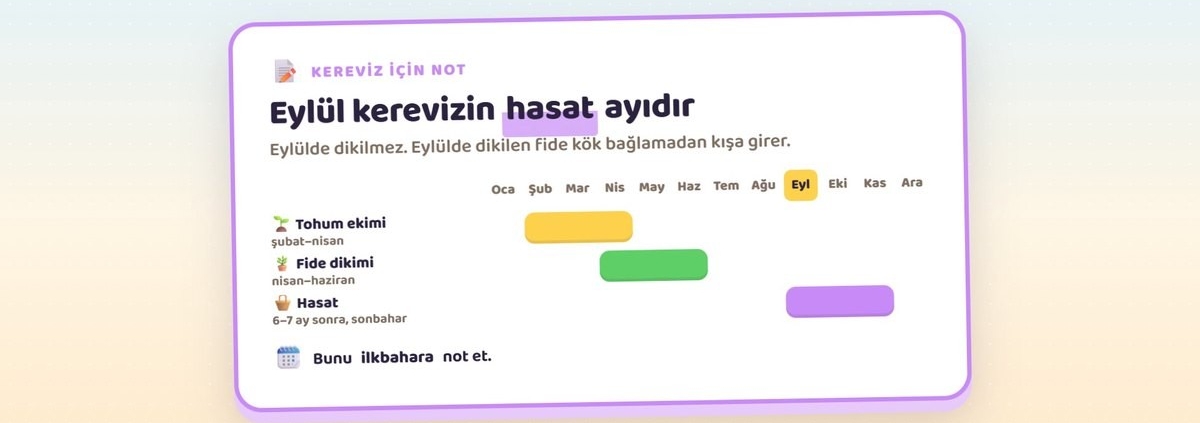 Eylül Ayında Ne Ekilir, Ne Dikilir? Kaçıran 1 Yıl Bekler! Kışlık Sebze Ekim Takvimi (Bölge Bölge) 7 Kereviz Eylülde dikilmez, Eylül kerevizin hasat ayıdır